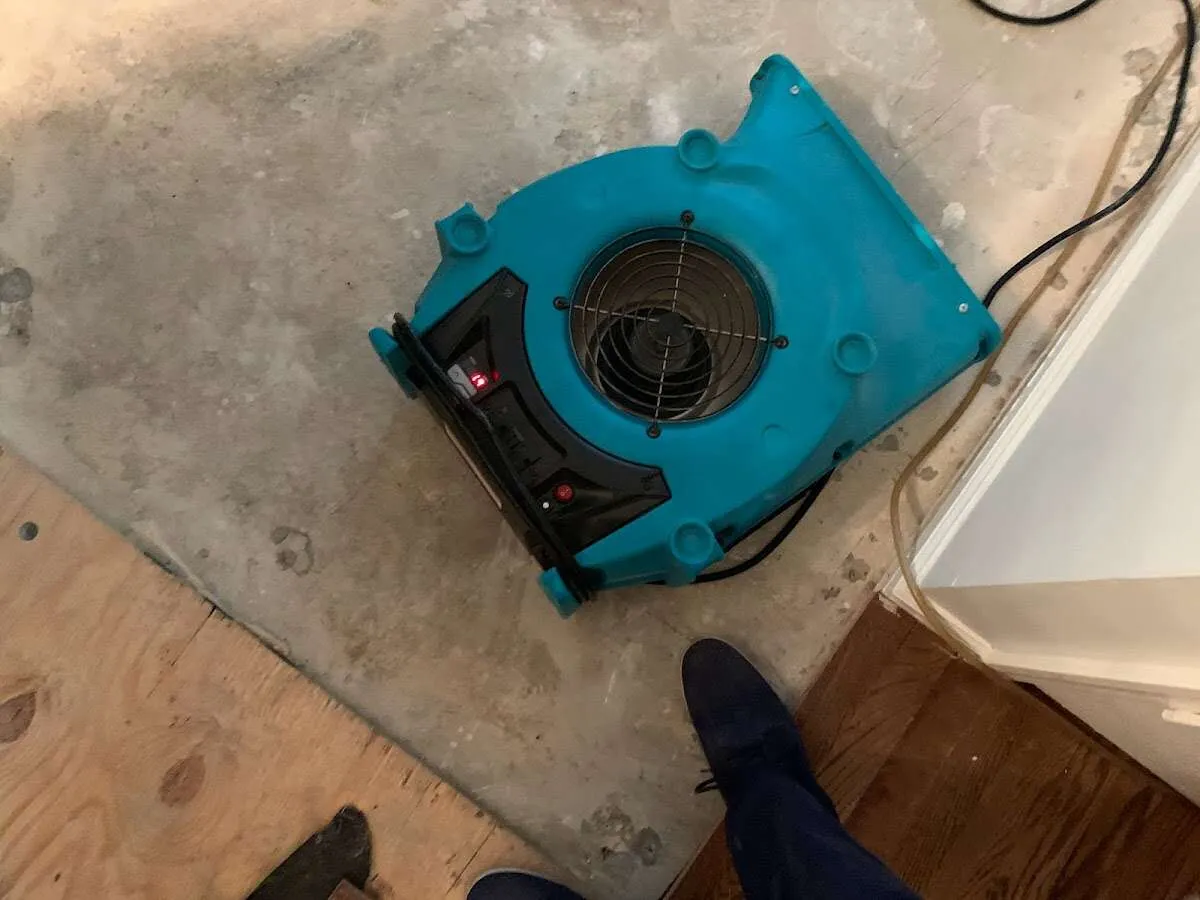 Air mover drying subfloor during Leak Detection & Repair in Mineola