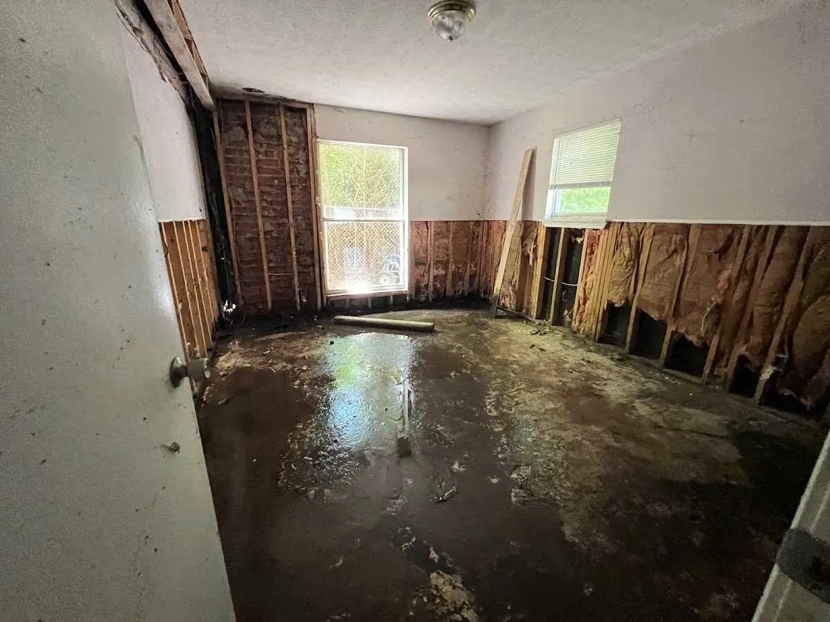 Water Damage Restoration services in Mineola, TX